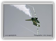 Saudi Hawks_15